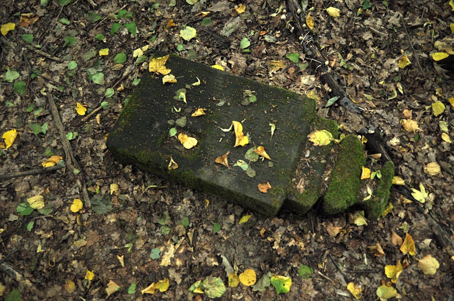Cmentarz ewangelicko-augsburski w Danielowie