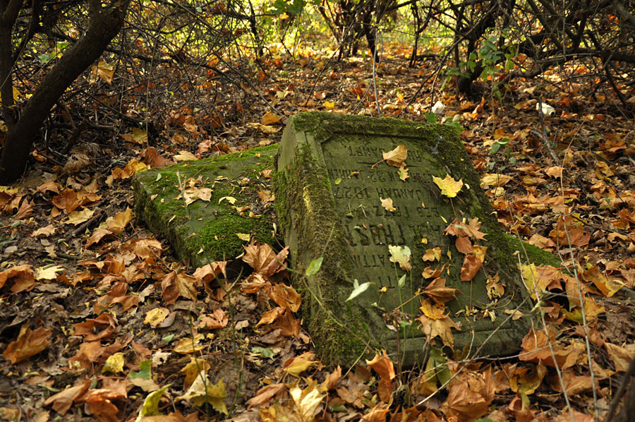 Cmentarz ewangelicko-augsburski w Kobylach