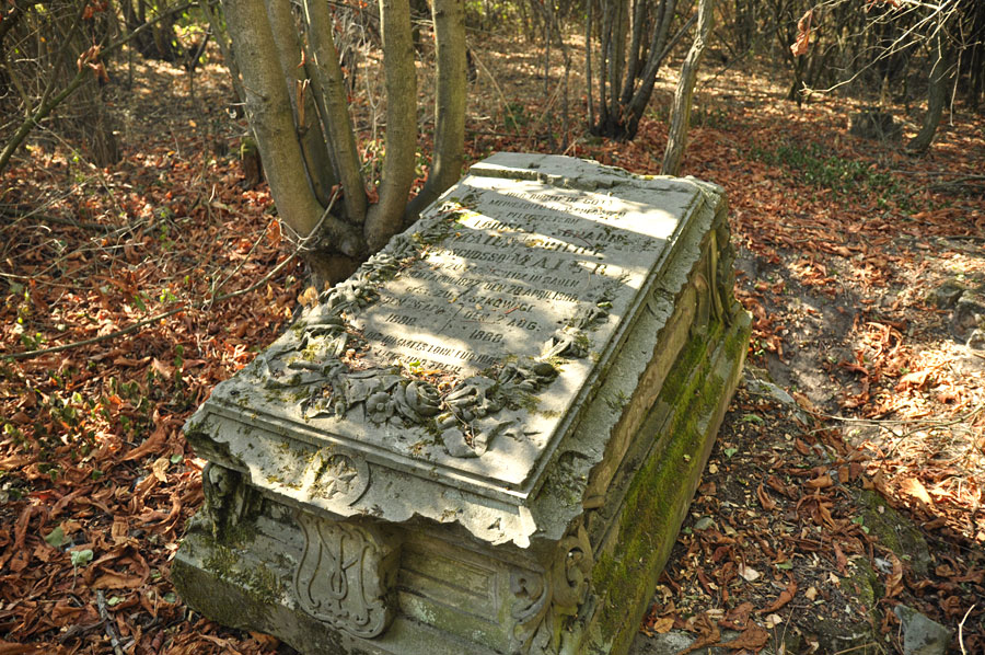 Cmentarz ewangelicko-augsburski w Kolonii Łyszkowice