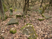 Cmentarz ewangelicko-augsburski w Lesie Pobłociszewskich