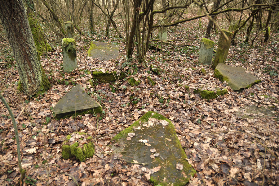 Cmentarz ewangelicko-augsburski w Lesie Pobłociszewskich