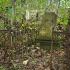 Cmentarz ewangelicko-augsburski w Lubiaszowie