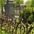 Cmentarz ewangelicko-augsburski w Ozorkowie