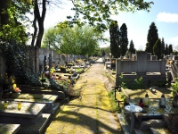Cmentarz ewangelicko-augsburski w Radogoszczu